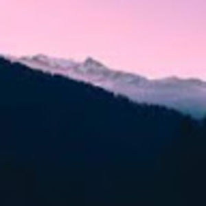 Meet your Posher, Jasmin